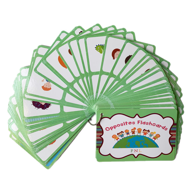 Kids Education Gift - 100 cartes mémoire sur les groupes
