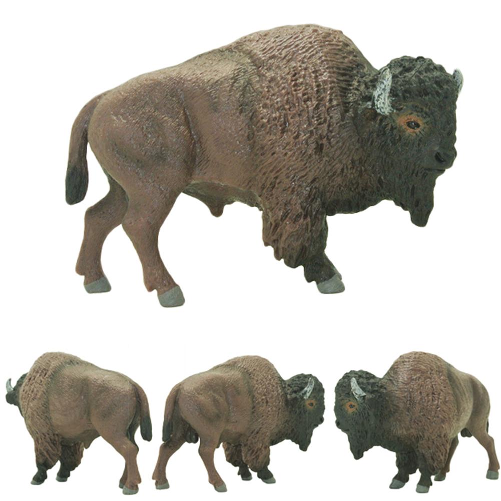 Kids Education Shows - Figurines d'animaux du Zoo Wild Life