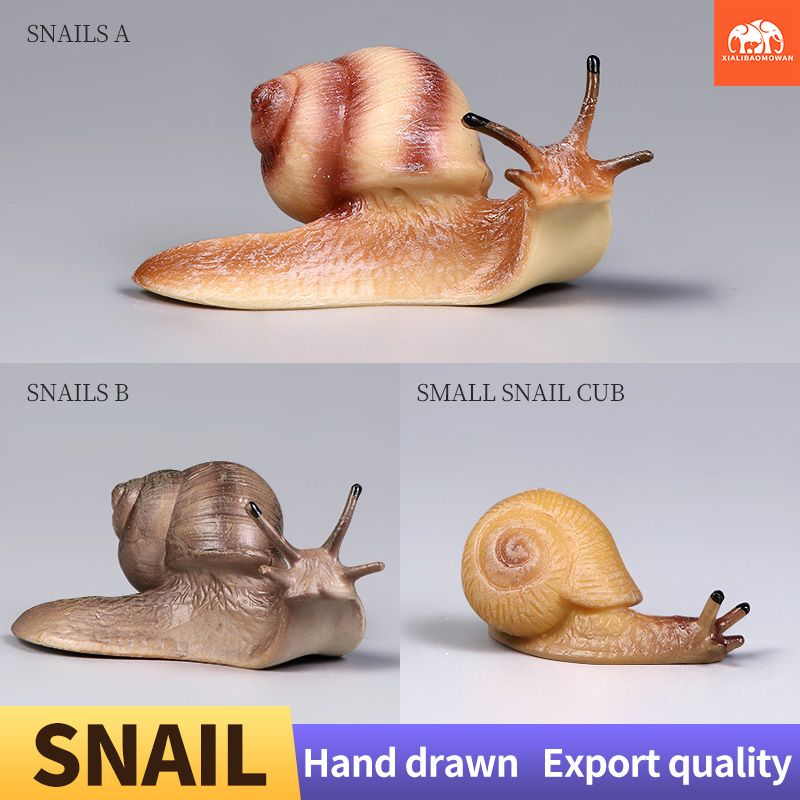 Kids Educational Box - Figurines d'escargots éducatives pour enfants, nouvelle
