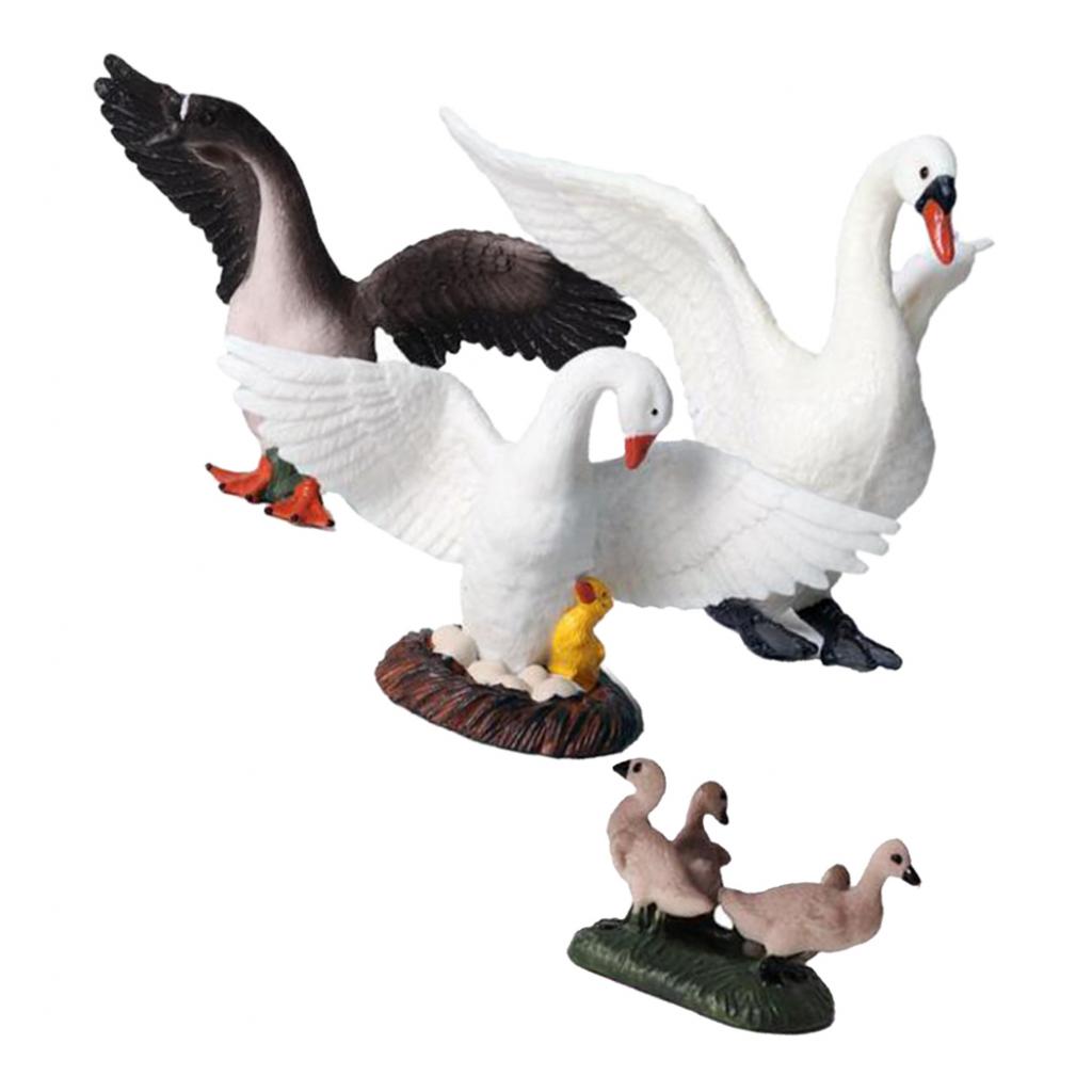 Kids Education Shows - Figurines de cygne réalistes, décoration de